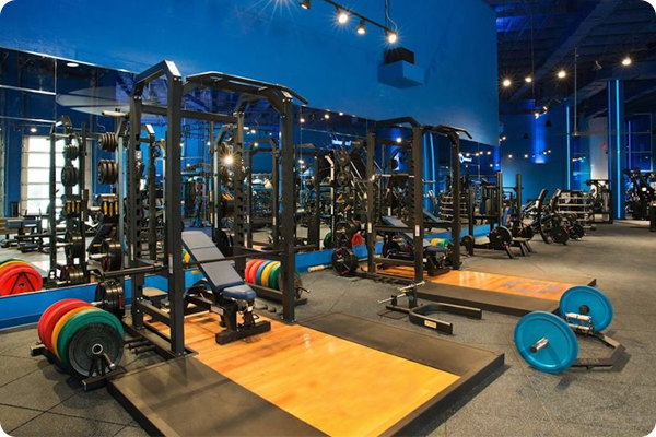 Gym equipment rental marketplace - Big fitness