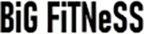 Big-Fitness Logo